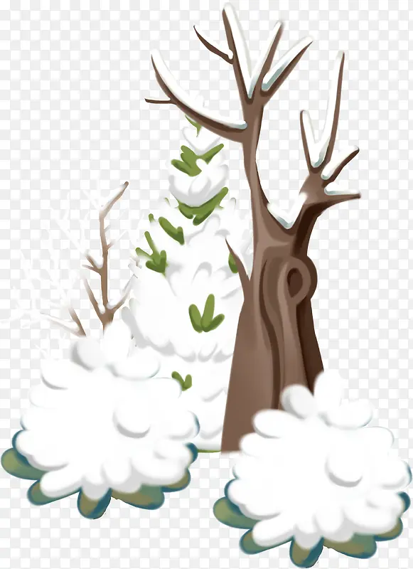 冬季植物雪花大树枝