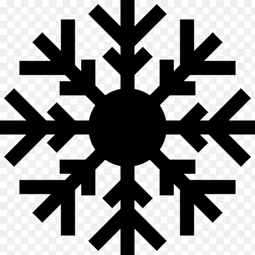 雪花的形状图标
