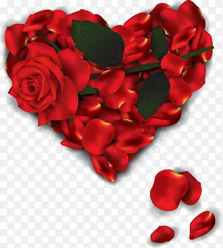 红色浪漫玫瑰花心花瓣