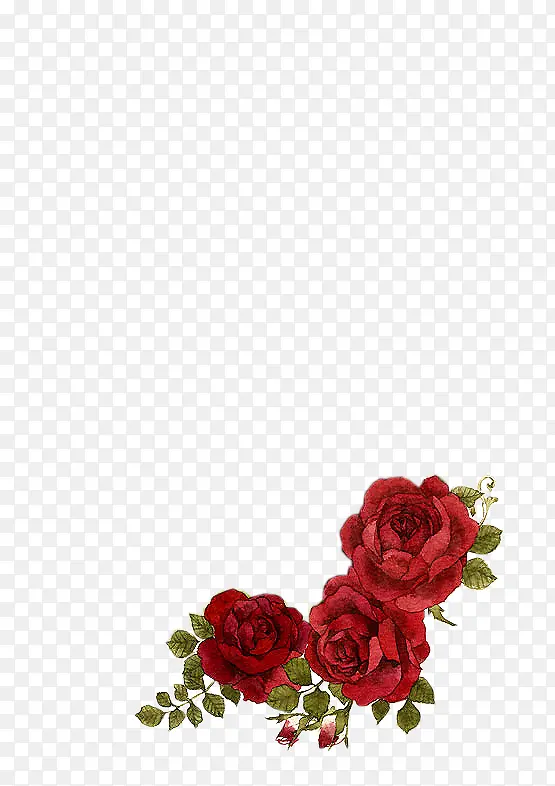 彩绘玫瑰花红色花朵