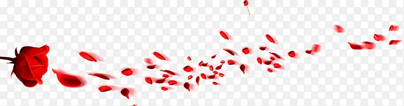 红色玫瑰花瓣漂浮