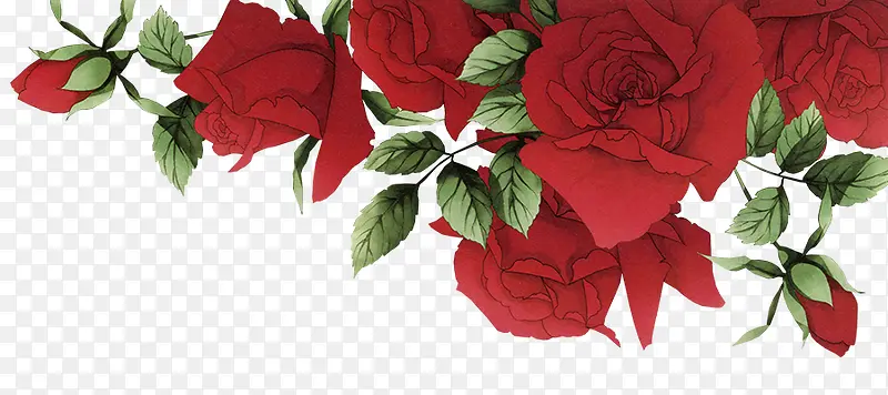 浪漫红玫瑰花边框