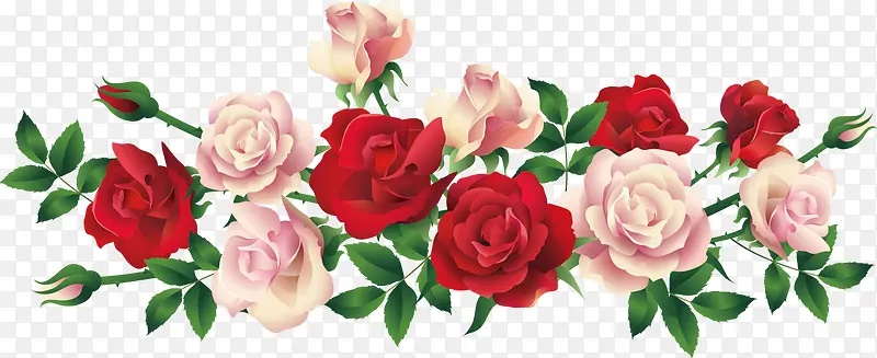 素材花朵红色粉红色玫瑰花矢量图片