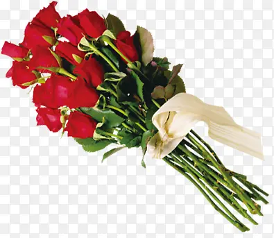 情人节的礼物红色玫瑰花