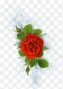 红色玫瑰花花朵漂浮
