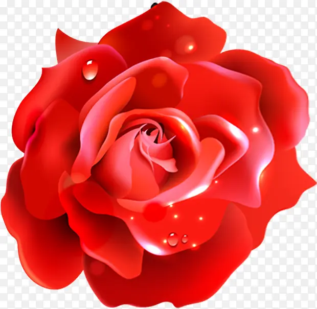 手绘露珠红玫瑰