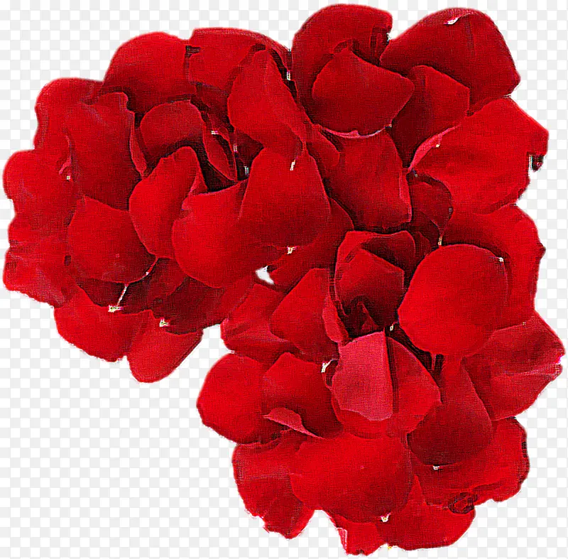 红色婚礼玫瑰花瓣