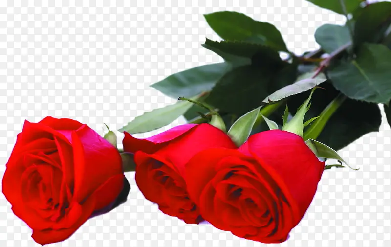 红色鲜花玫瑰婚礼