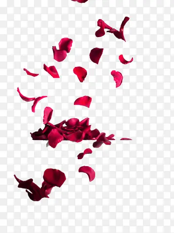 红色玫瑰花瓣漂浮装饰