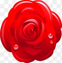 红玫瑰水珠手绘