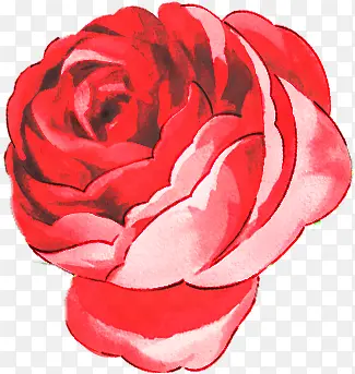 手绘美丽红色玫瑰
