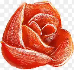 红色铅画设计玫瑰