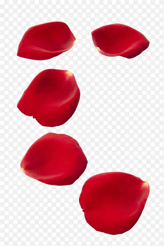 高清红色漂浮玫瑰花瓣