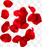 红色玫瑰装饰