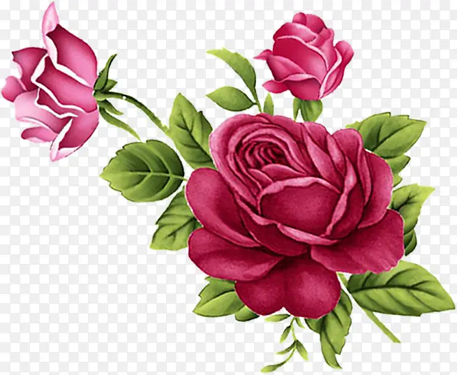 手绘红色玫瑰花卉