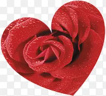 心形红玫瑰婚礼素材