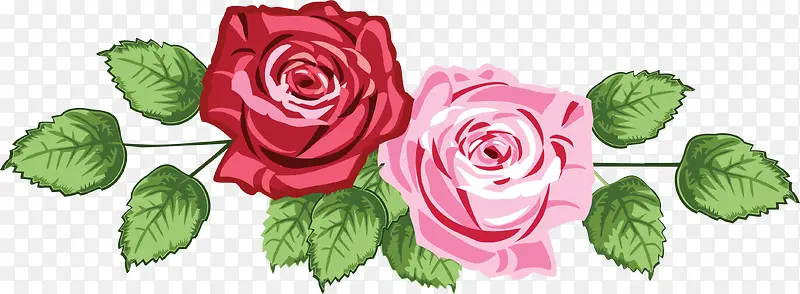 粉红色玫瑰装饰花朵