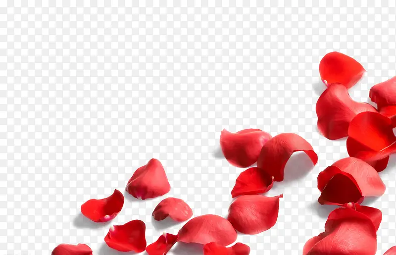 梦幻漂浮红色玫瑰花瓣