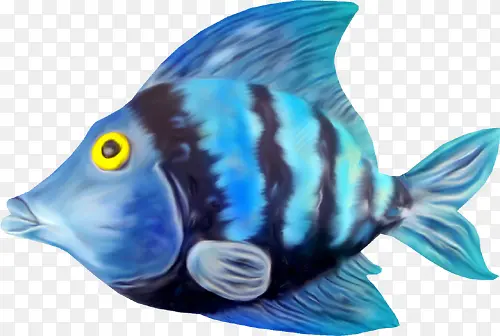 海底动物