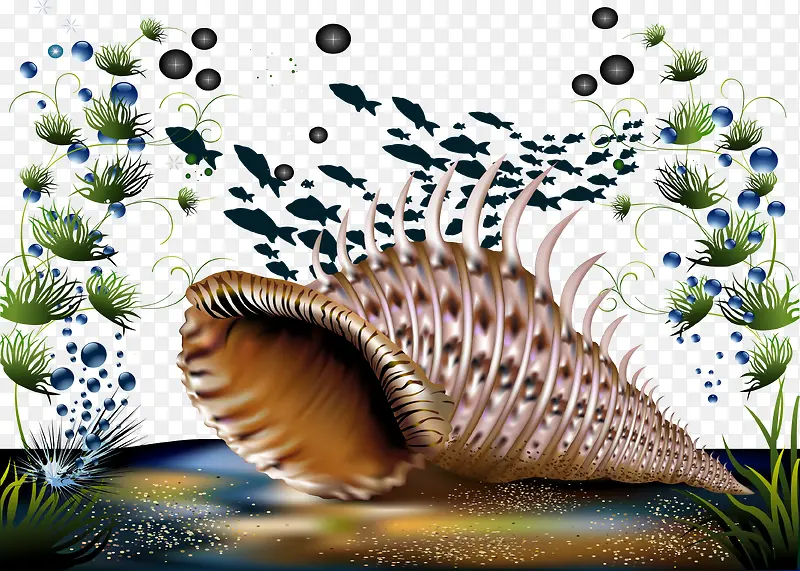 矢量海底海螺
