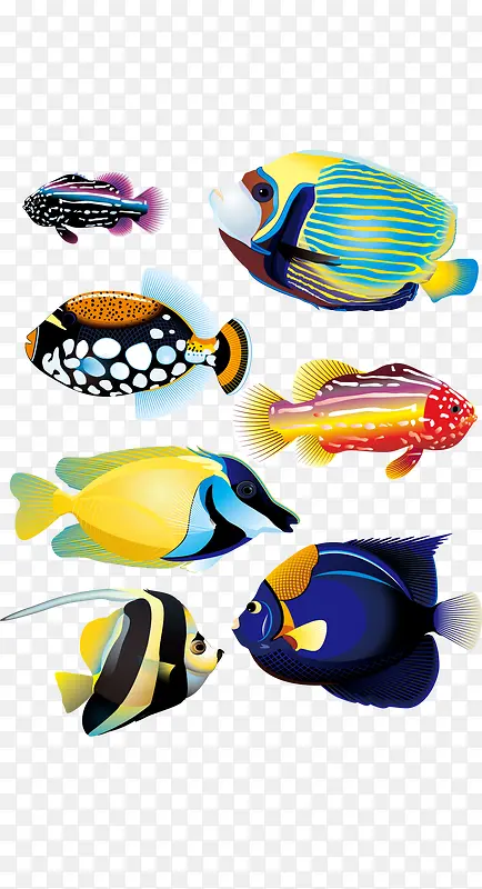 海洋彩色鱼类