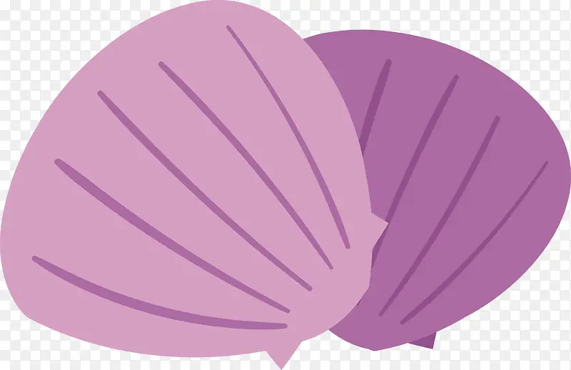 紫色贝壳矢量图