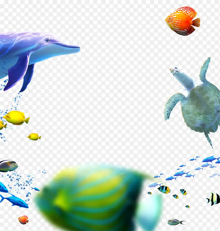 海洋生物