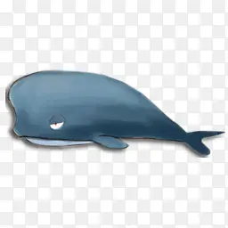鲸鱼海洋动物图标