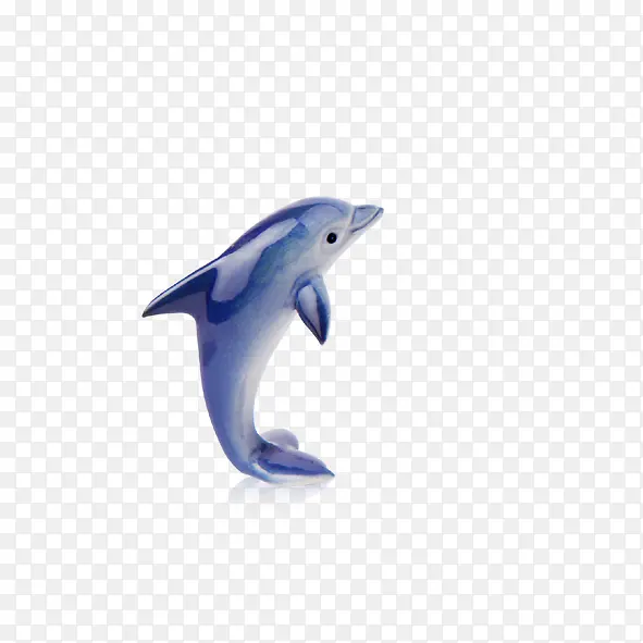 海豚