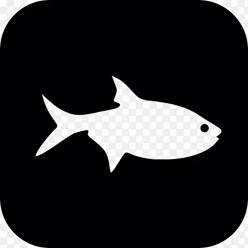 鱼的象征图标