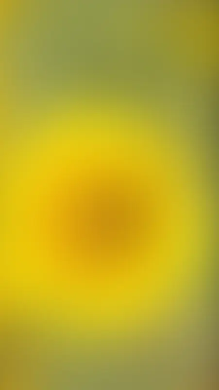 青黄色模糊渐变海报