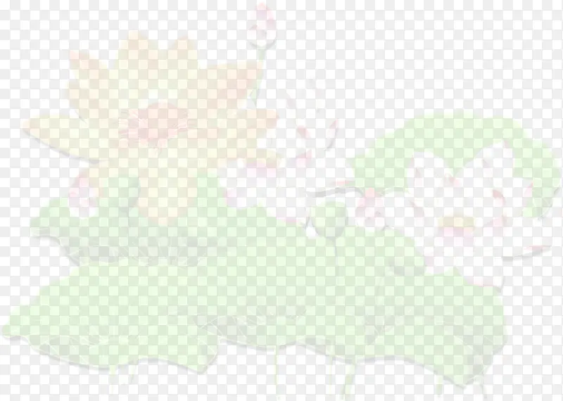 模糊莲花美景手绘