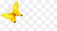 黄色模糊海报蝴蝶