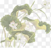 模糊美景植物花朵