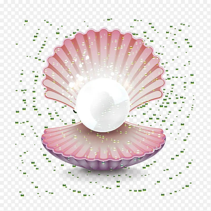 珍珠贝壳