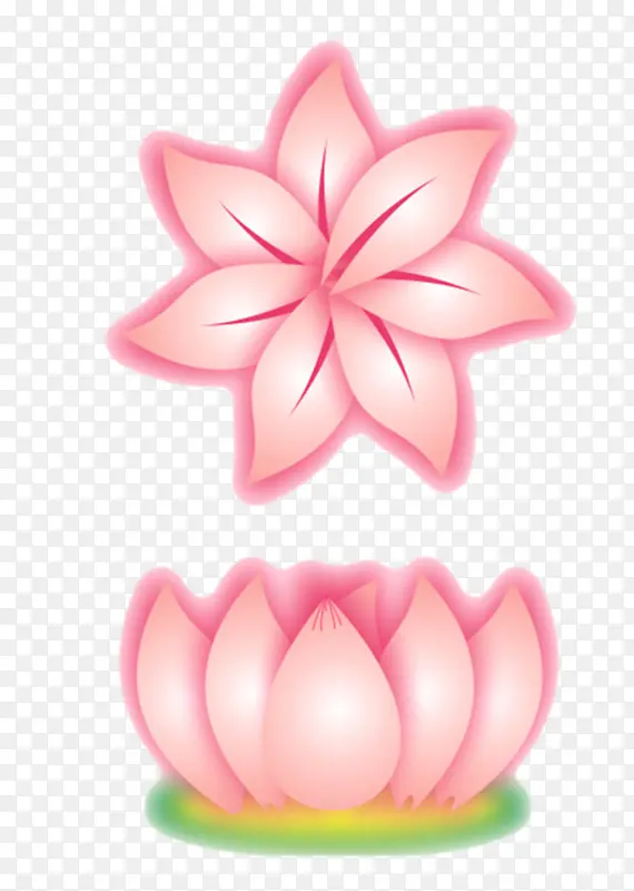 粉色花朵