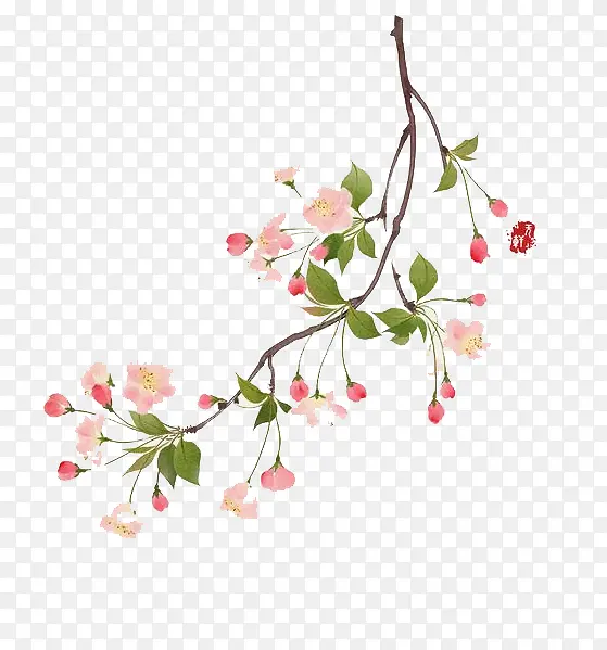 水彩鲜花