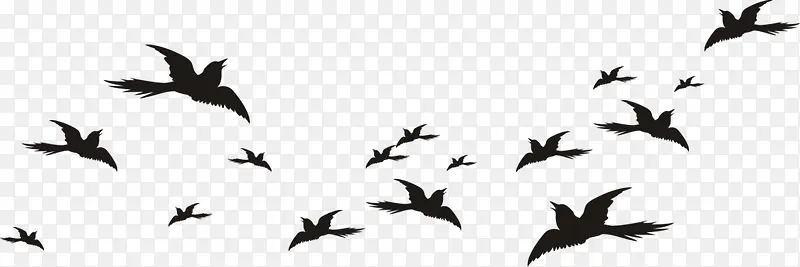 燕子飞在天空