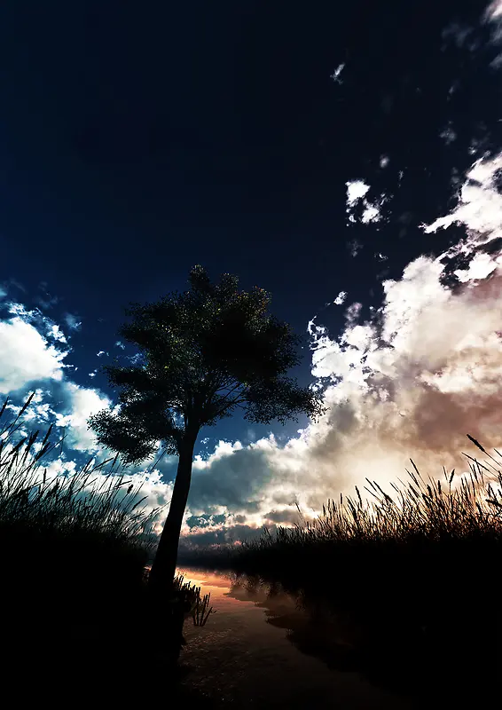 黑色天空白云效果树木摄影风格