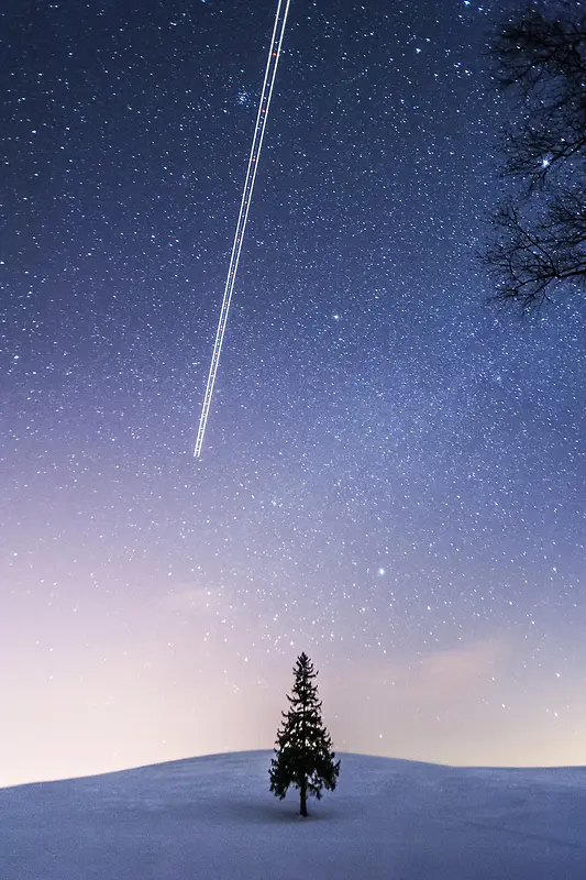 蓝天天空白色星光树枝