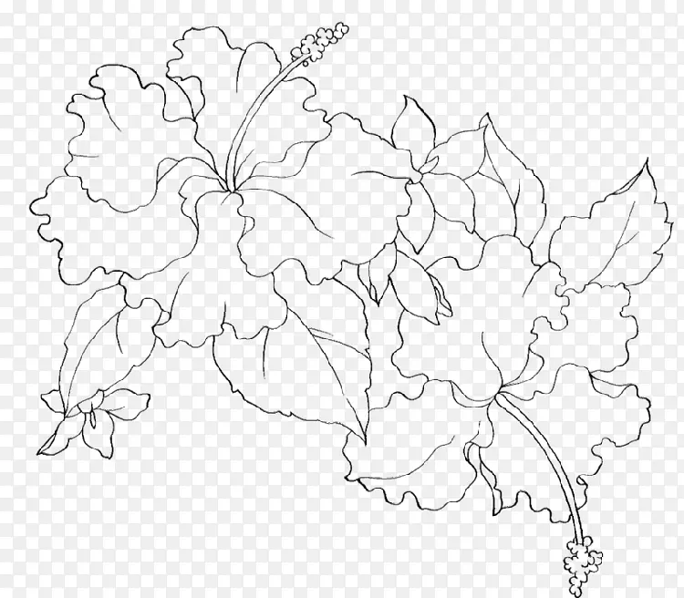 简笔画素描花朵
