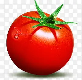 水珠番茄图片
