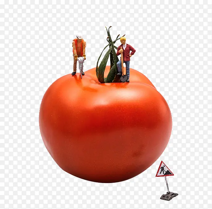 创意番茄上施工
