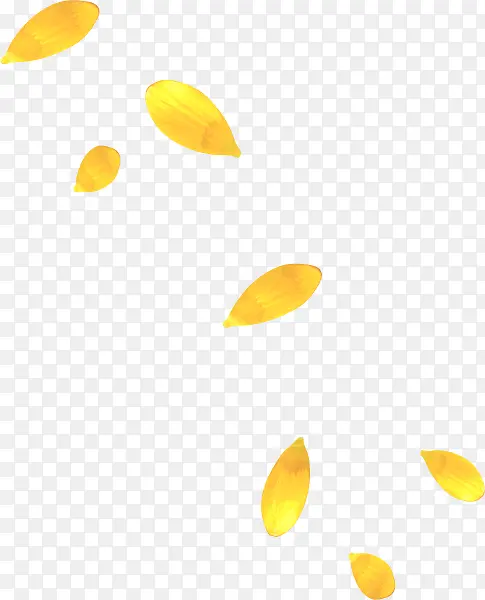 花瓣飘落黄色花瓣