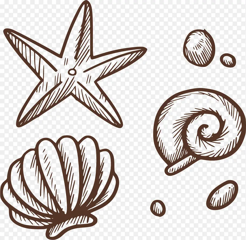 手绘旅游沙滩贝壳