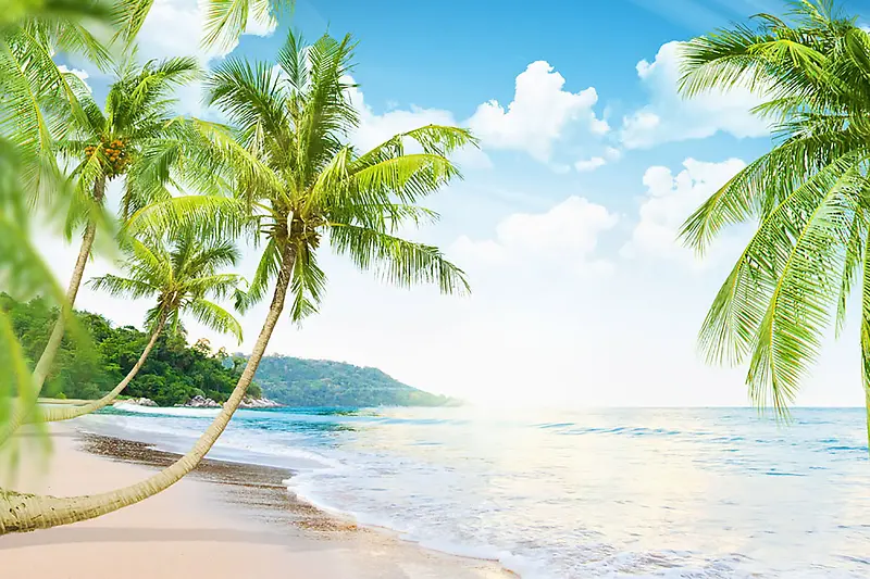 蓝天白云与椰树海滩风景图片