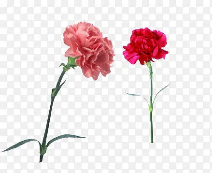 鲜花