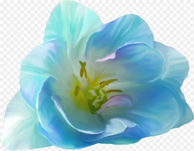 花卉