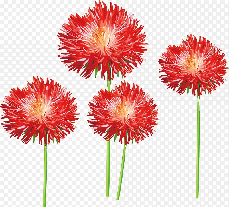 鲜花矢量素材