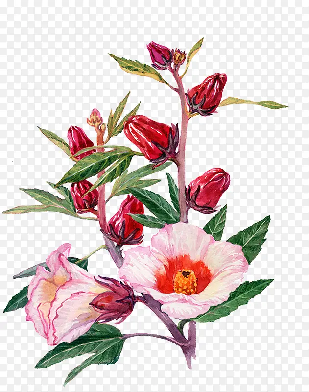 水彩鲜花
